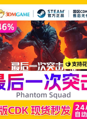Steam正版激活码 最后一次突击 Phantom Squad 国区现货 CDKEY