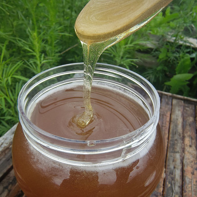 饶河县东北黑蜂益母草蜂蜜