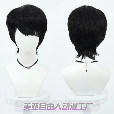 自由人假面骑士宝生永梦cos假发