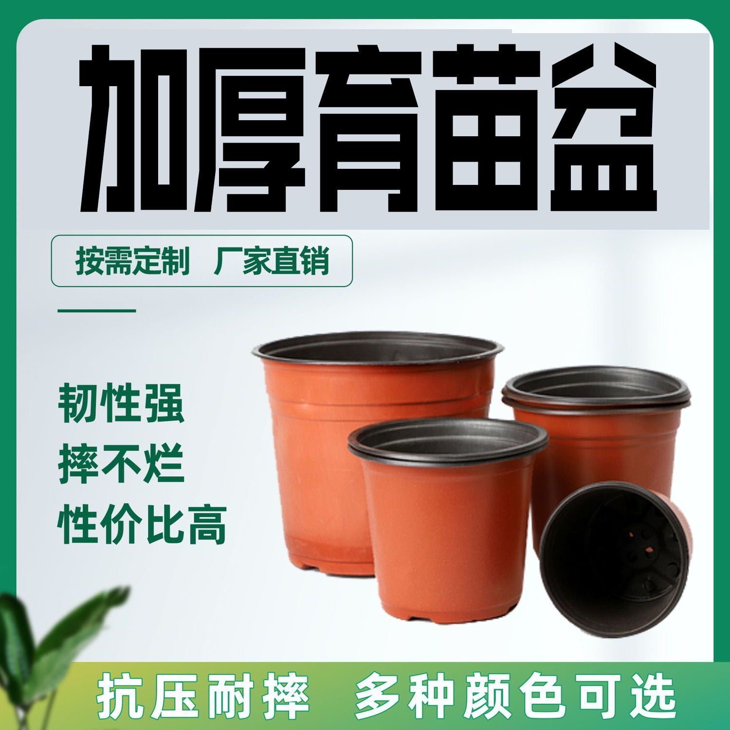 双色盆育苗盆多肉种植盆大号营养钵育苗盆一次性塑料加厚简约花盆