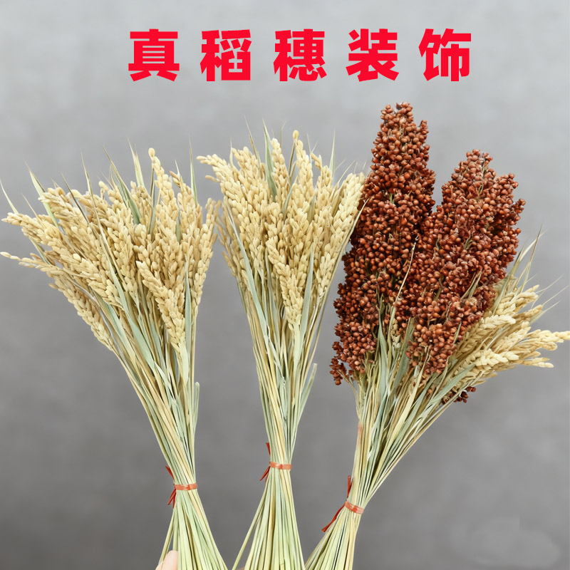 真稻穗干花湘菜店铺装饰玉米棒干辣椒串挂件玉米大蒜串五谷杂粮食