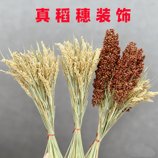真稻穗干花湘菜店铺装饰玉米棒干辣椒串挂件玉米大蒜串五谷杂粮食