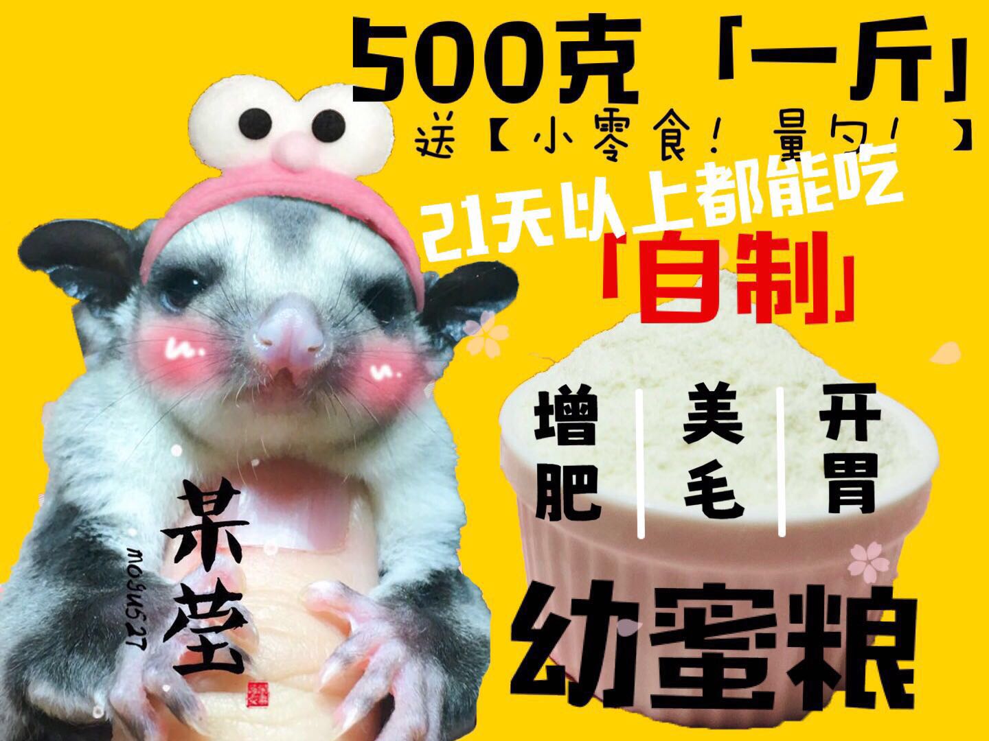 蜜袋鼯粮食幼蜜冲泡鼠天然粮专业