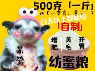 蜜袋鼯粮食幼蜜冲泡主粮主食弃养天然粮增肥离乳鼠鼬专业HPW+BML