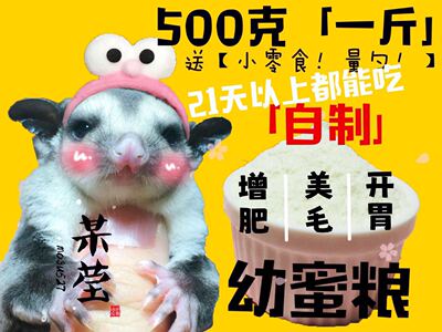 蜜袋鼯粮食幼蜜冲泡鼠天然粮专业
