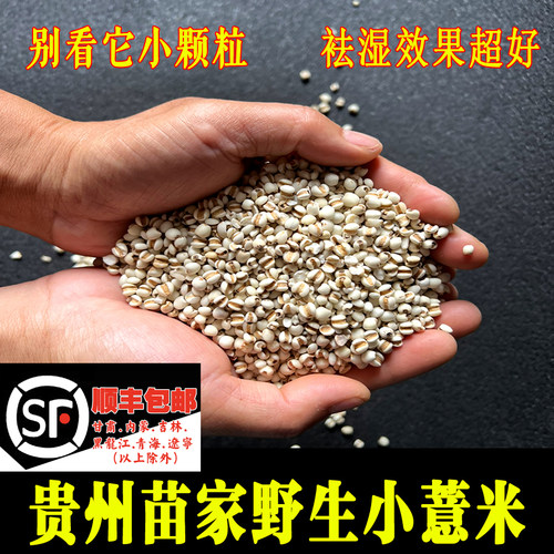 苗姑娘 野生新鲜去壳贵州小薏米农家自采500g 配红豆芡实莲子煮水