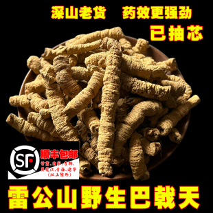 苗姑娘纯野生巴戟天500g中药材正品特级锁阳肉苁蓉片杜仲男性泡酒