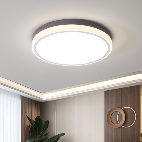 美国普瑞Ra98全光谱护眼吸顶灯