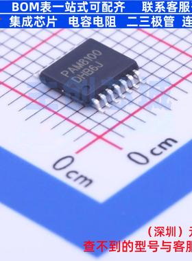 音频接口芯片 PAM8100RRR TSSOP-14 DIODES(美台) 电子元器件配单