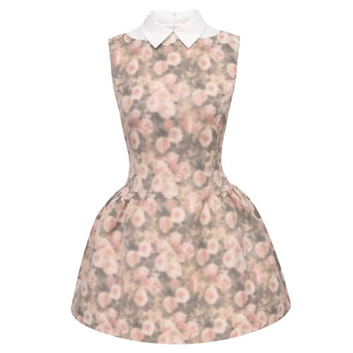 玫瑰印花衬衫领无袖连衣裙