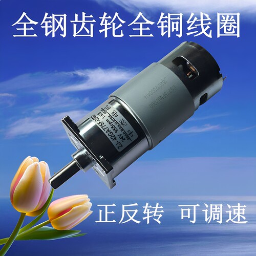 42GA775直流慢速正反转调速电机
