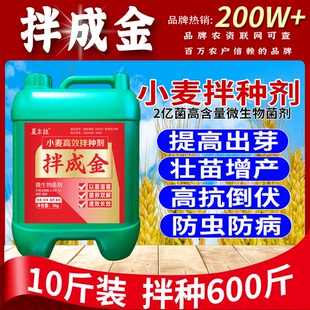 拌成金小麦专用拌种剂提高出芽苗齐苗壮微生物菌剂拌种剂