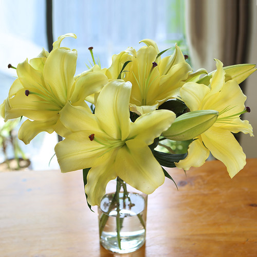 黄百合花鲜花素材模板 黄百合花鲜花图片下载 小麦优选