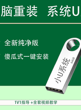 电脑重装win11系统U盘全新纯净版傻瓜式一键安装win10纯净pe小白