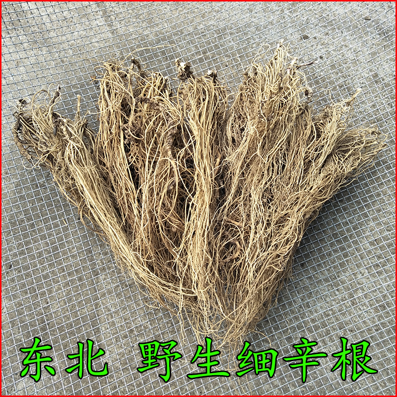 长白山脉野生细辛根 细辛根 野生细辛 东北细辛根 水洗干净250克