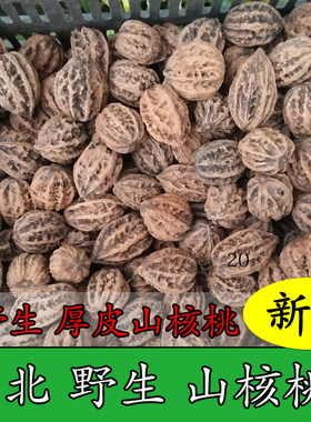 新货野生山核桃厚皮东北