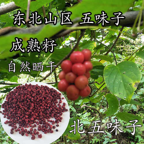 五味子新货干净自然晒干