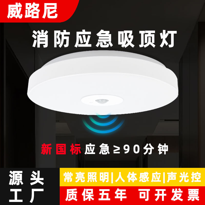 雷达感应吸顶灯led人体感应灯消防应急灯走廊楼道声光控吸顶灯