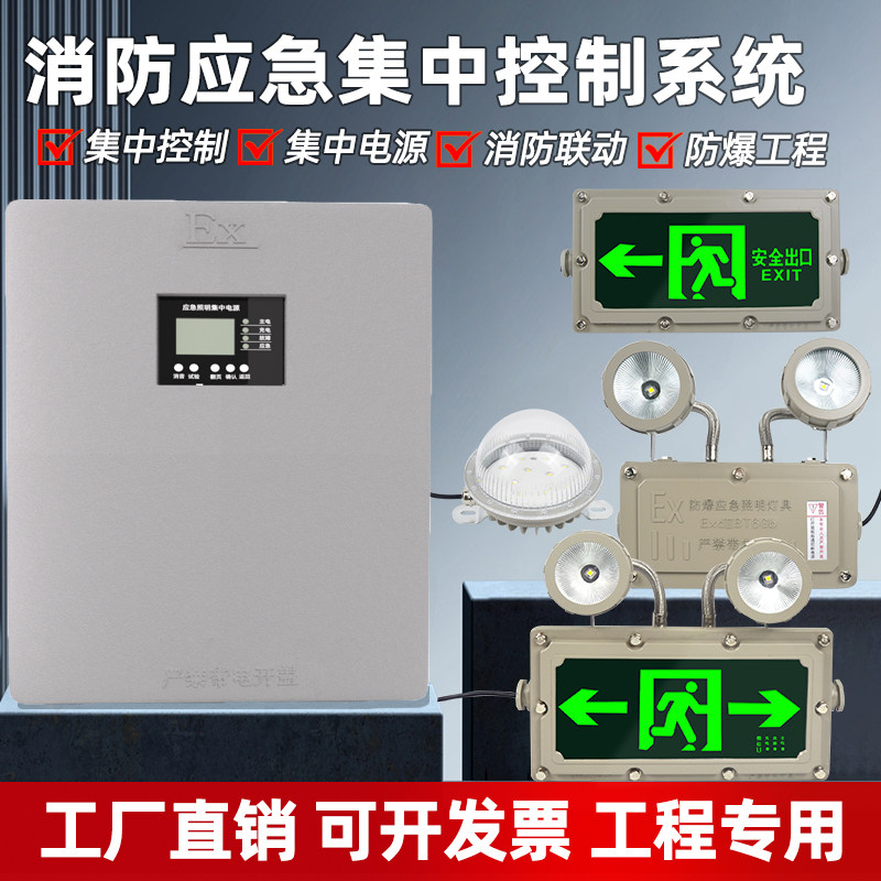 防爆A型消防应急照明低压集中电源控制36V安全出口指示牌应急灯