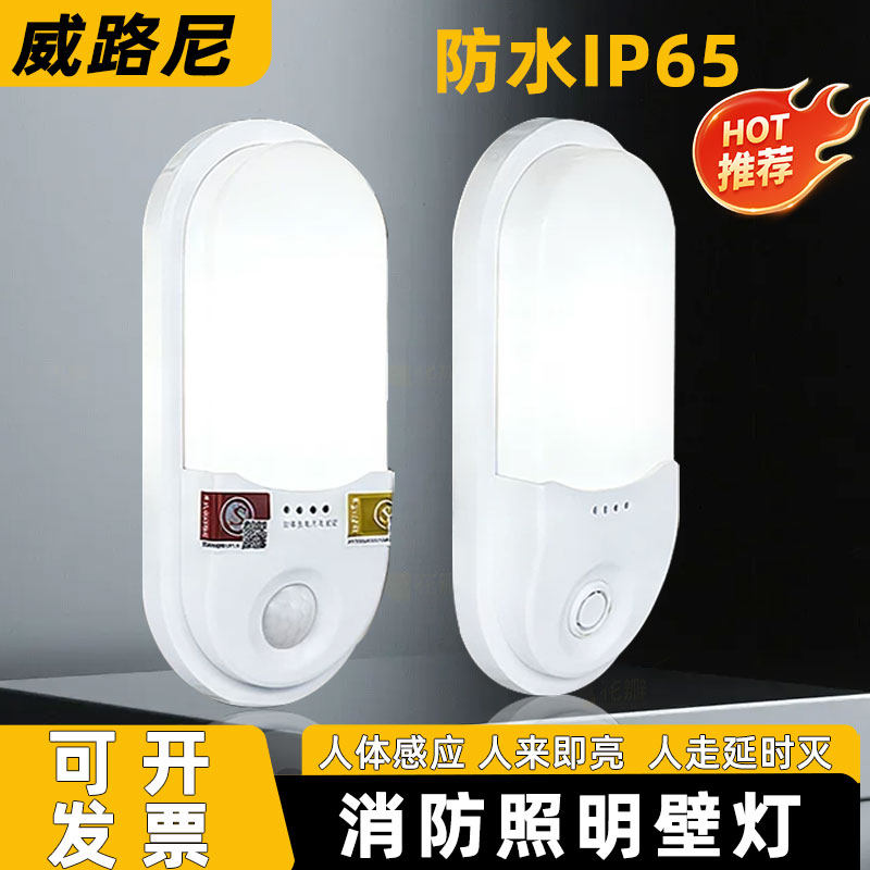 消防应急防水壁灯led照明人体感应雷达壁挂楼道井道酒店电梯厂房