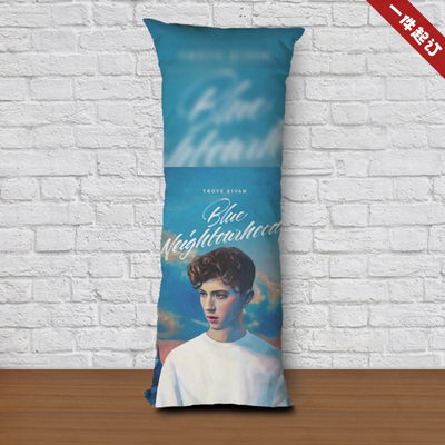 戳爷特洛伊希文troyesivan照片海报写真周边同款玩偶等身人形抱枕