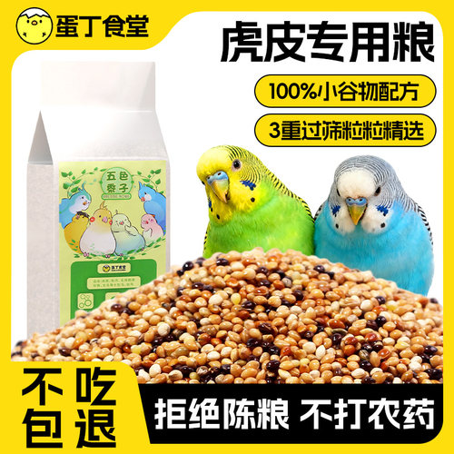 黍子蛋丁食堂包邮五色黍子