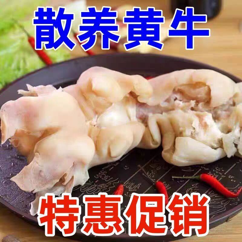 现煮现发5斤新鲜去骨牛蹄皮八成熟国产黄牛红烧冷冻牛蹄去骨带筋