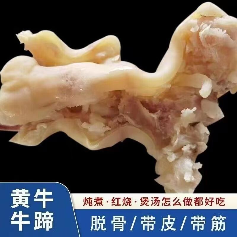 牛肉整只新鲜半熟脱骨牛脚牛蹄筋大牛腿新鲜黄牛牛蹄子牛筋牛蹄筋