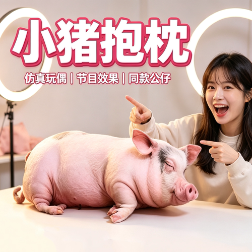 【小猪抱枕】仿真抱枕挂件玩偶抖音b站搞笑节目效果公仔送抽象猪