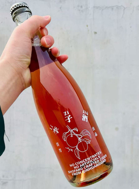 大口酸甜多汁西瓜李河北秦皇岛首芳李子西打甜型起泡酒Plum Cider