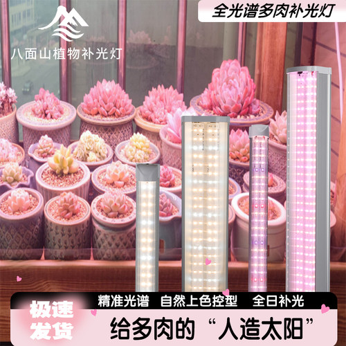 八面山全光谱多肉植物补光灯