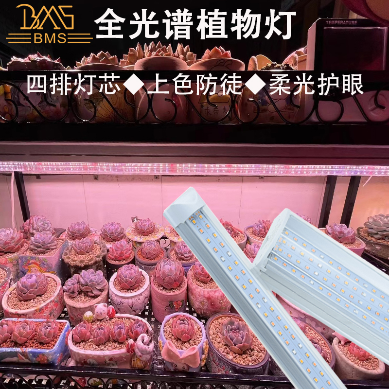 八面山家用上色防徒多肉补光灯