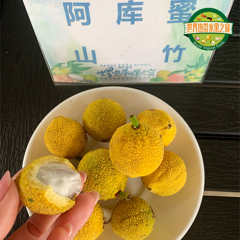 阿库蜜山竹嫁接苗 基地直发