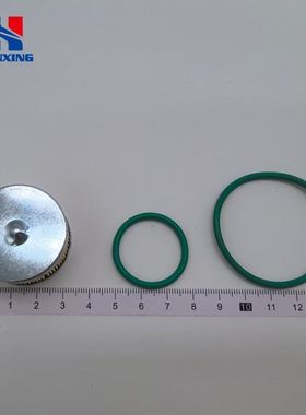 LPG/CNG汽车油改气AT09蓝色胶圈滤芯燃气汽车配件