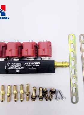 LPG/CNG汽车油改气改装ATIKER红色3欧姆喷轨燃气汽车配件