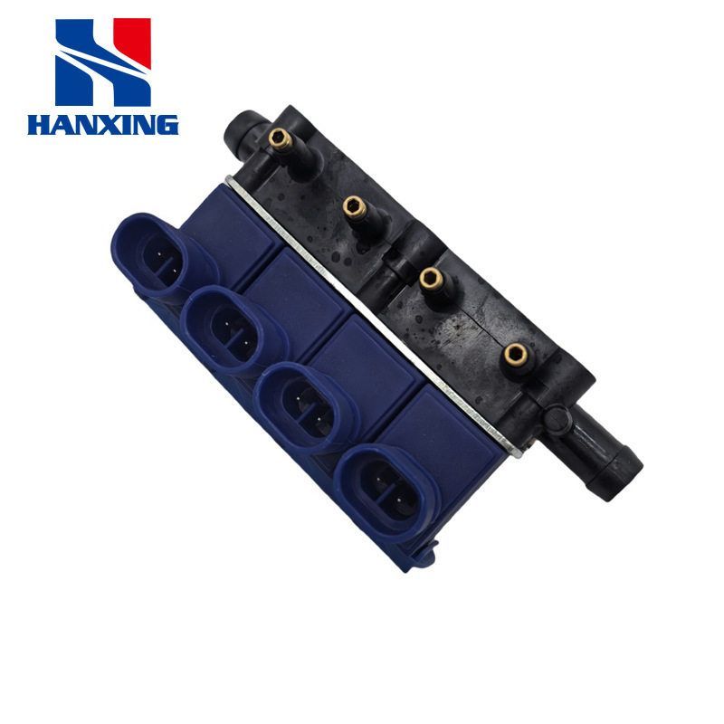 LPG/CNG汽车油改气改装OMVL喷轨气嘴燃气汽车配件