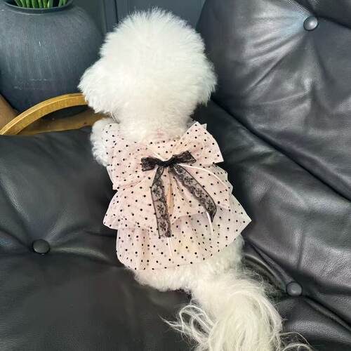 宠物衣服夏季透气连衣裙子公主风