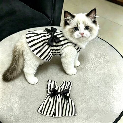 宠物衣服夏季条纹连身裙子小型犬