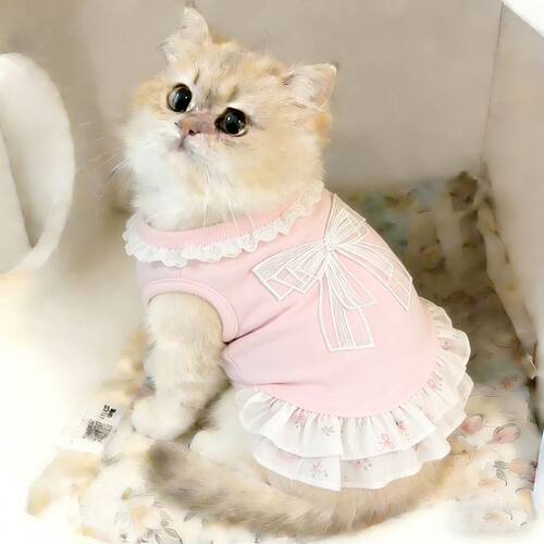 宠物衣服夏季公主风连衣裙小型犬