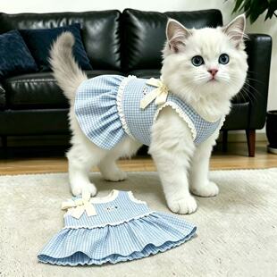宠物猫咪衣服夏季轻薄布偶金渐层蕾丝格子裙小型幼犬防掉毛连衣裙