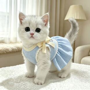 宠物猫咪衣服夏季薄款布偶金渐层蕾丝格子裙小型幼犬防掉毛连衣裙