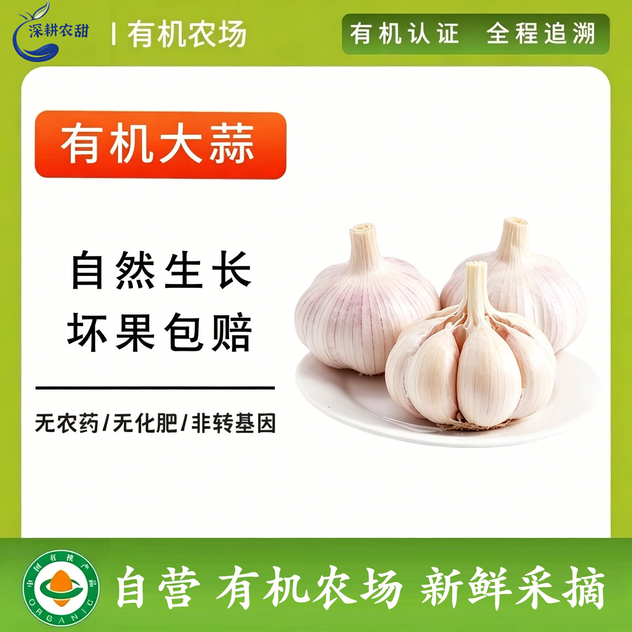 有机认证无农残新鲜大蒜头