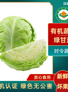 时令有机绿甘蓝无农残新鲜包菜圆白菜大头菜营养丰富有机认证蔬菜