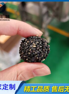 黑芝麻丸沾芝麻机器 裹涂均匀的上糠机设备 蓼花糖专用上粉机