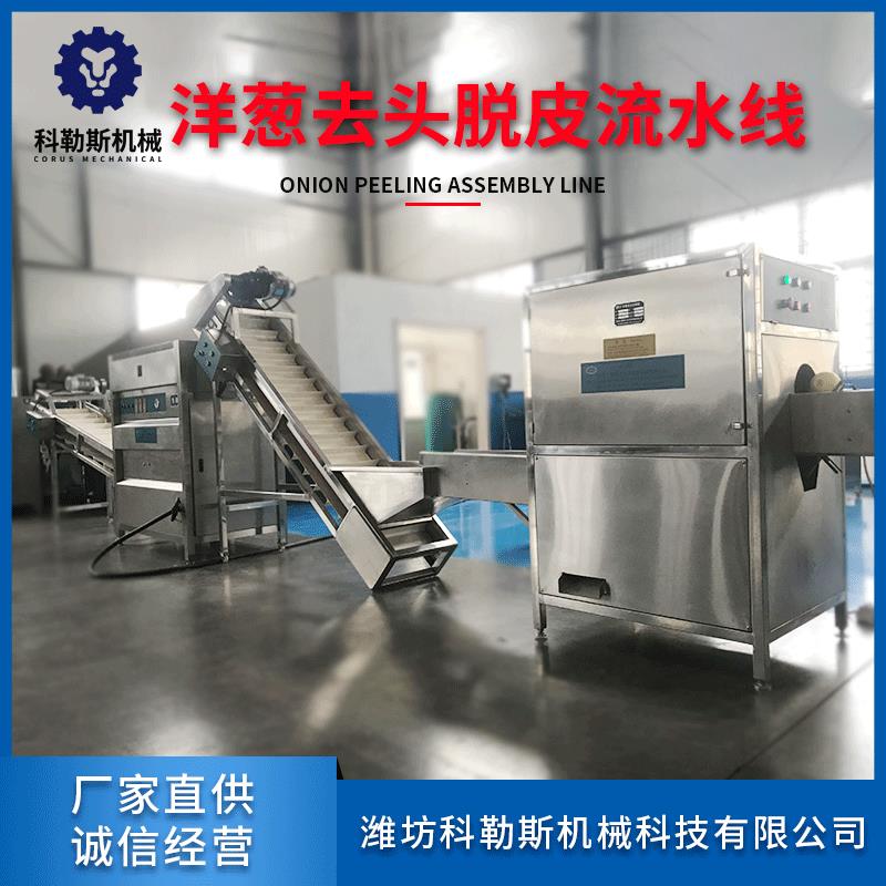 商用大产量无损伤洋葱切根脱皮机 全自动洋葱切根切头脱皮流水线