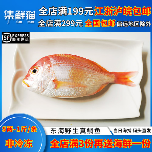 深海鲷鱼价格 深海鲷鱼图片 星期三