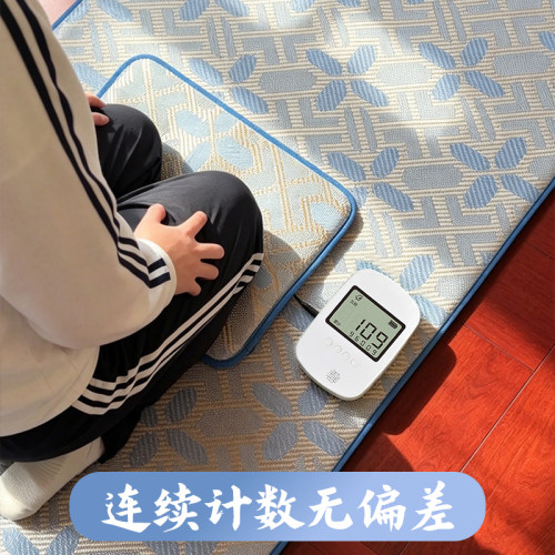 小度四季冰藤条计数垫