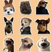 50张热门小狗律师表情包猫猫贴纸网红沙雕个性 饰防水贴纸 创意装