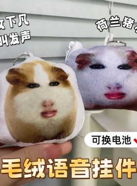 毛绒猪妞仙女下凡荷兰猪小曲语音玩偶钥匙扣卡通搞笑玩具按压发声