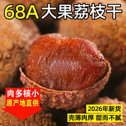 福建莆田荔枝干零食新货68A特级大果500g*2无熏硫农家特产荔枝肉